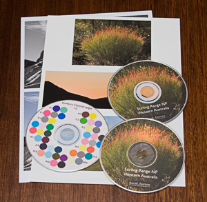 sample disks